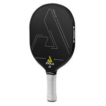 Load image into Gallery viewer, Joola Radius CGS 14 Pickleball Paddle
 - 2