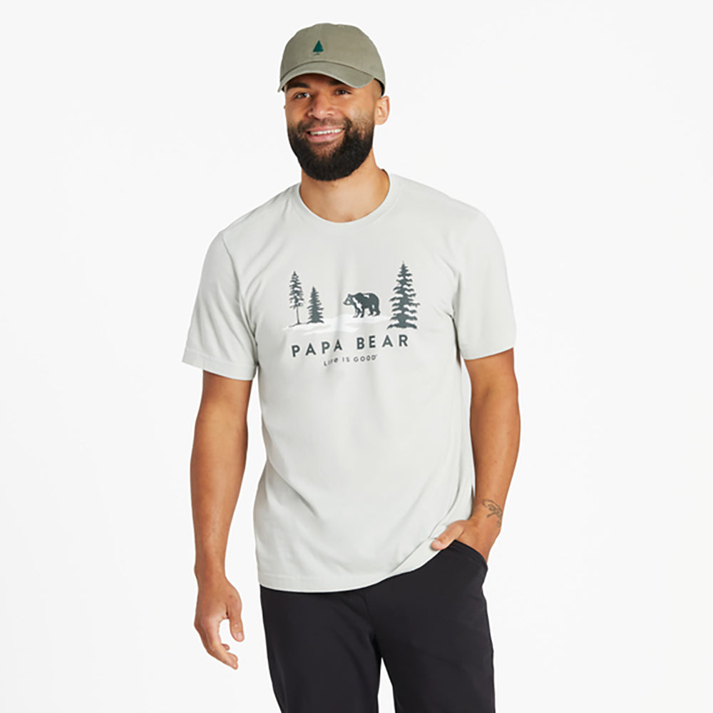 Life Is Good Scenic Papa Bear Mens T-Shirt - Fog Gray/XL